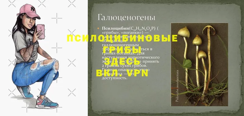 Галлюциногенные грибы ЛСД  Гаврилов Посад 